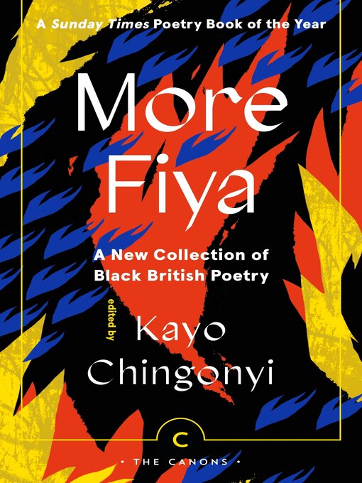 Title details for More Fiya by Kayo Chingonyi - Wait list